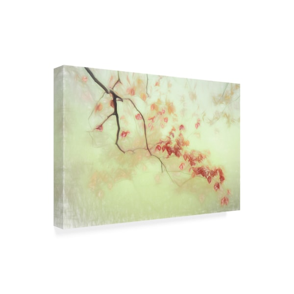 Gilbert Claes 'Luce Dorata' Canvas Art,30x47